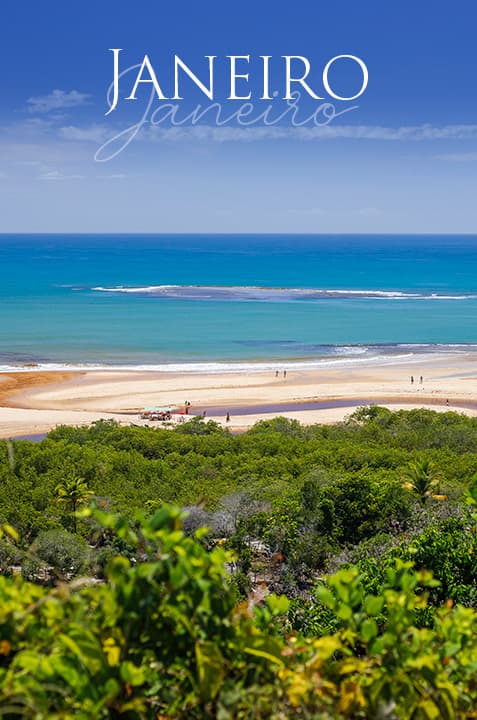 Janeiro - 2026 - 1